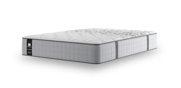 Sealy Franklin Mattress