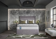 Sealy Visionary Divan Bed